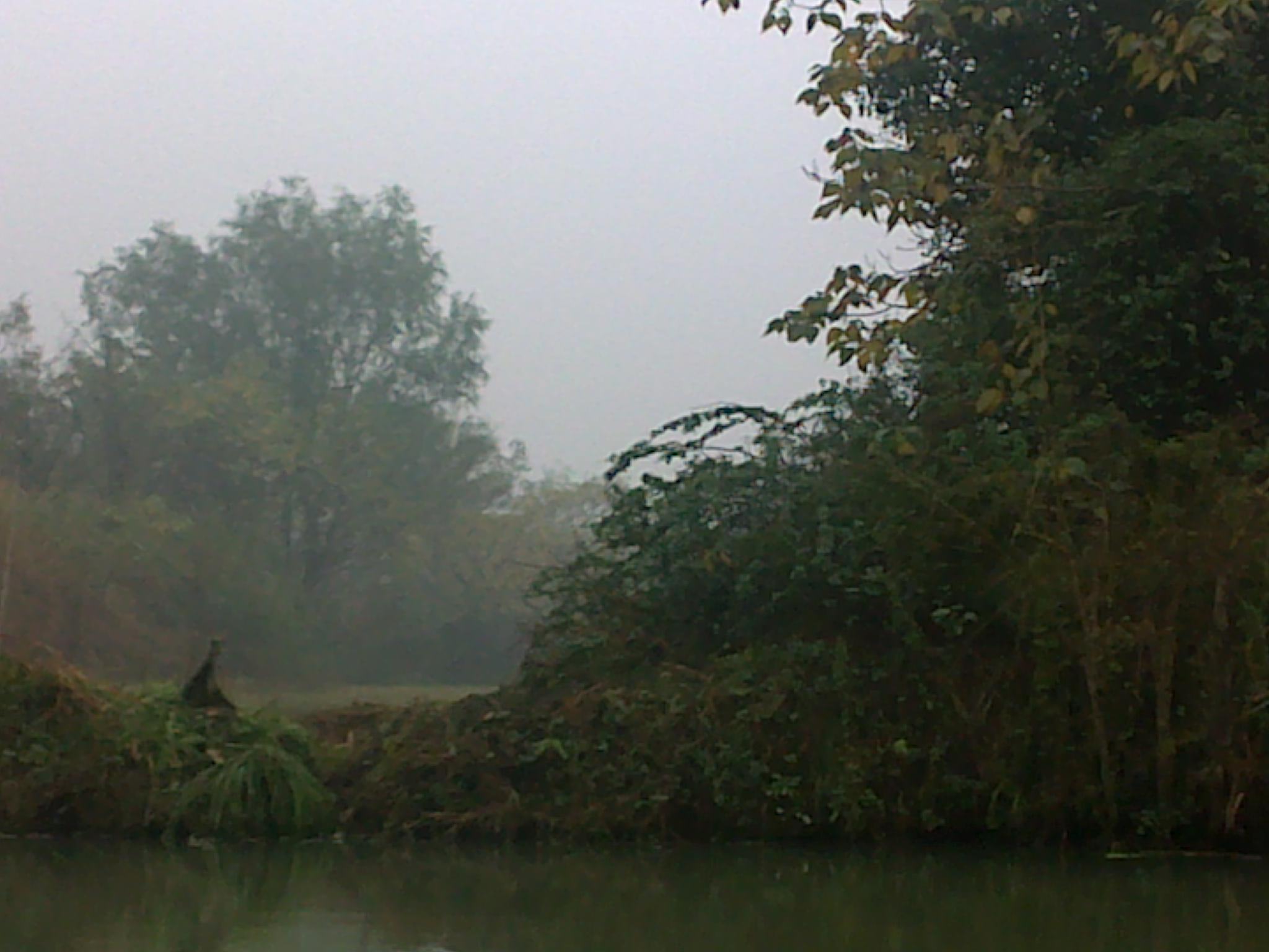 20101114156.jpg