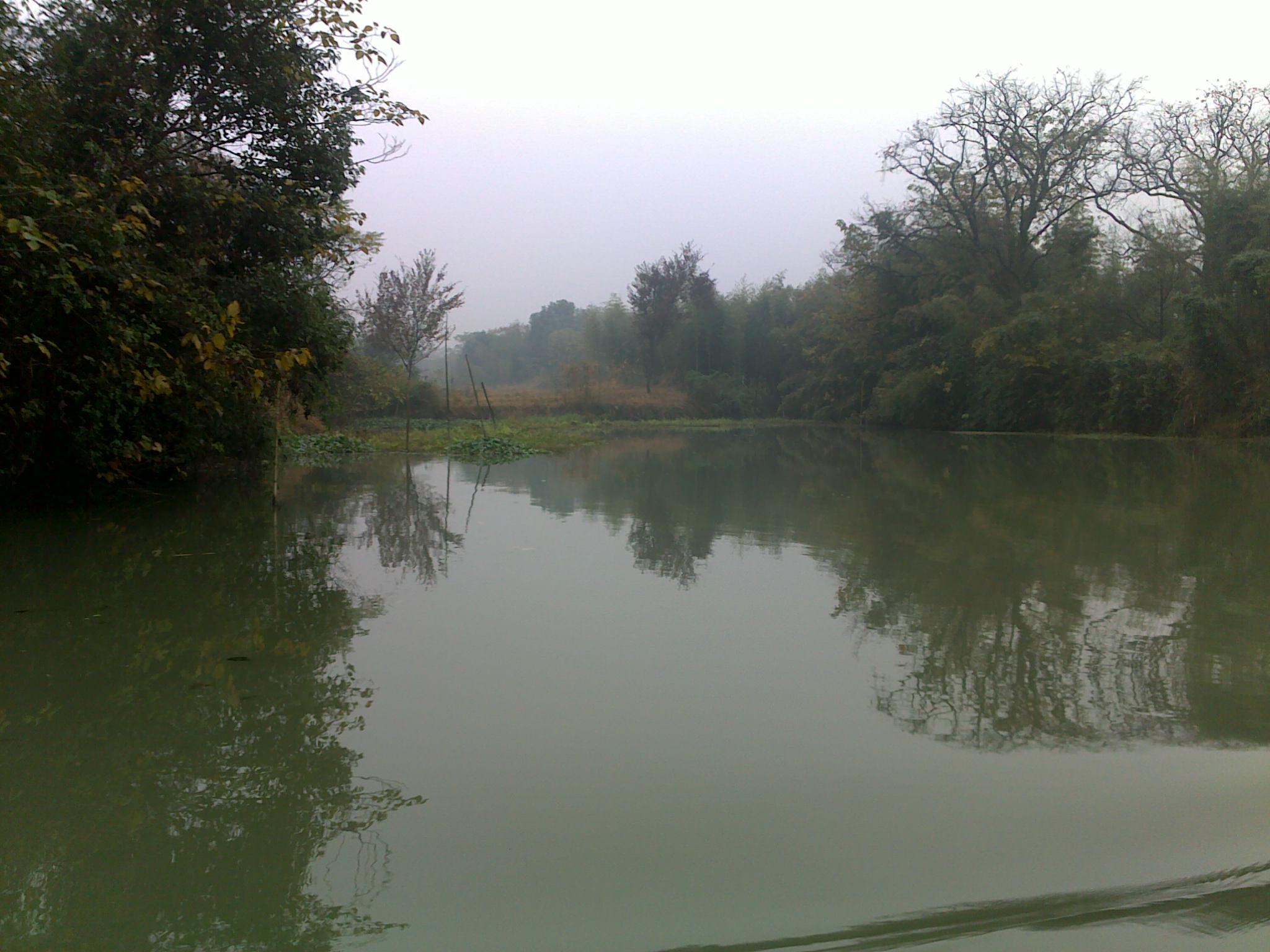 20101114158.jpg