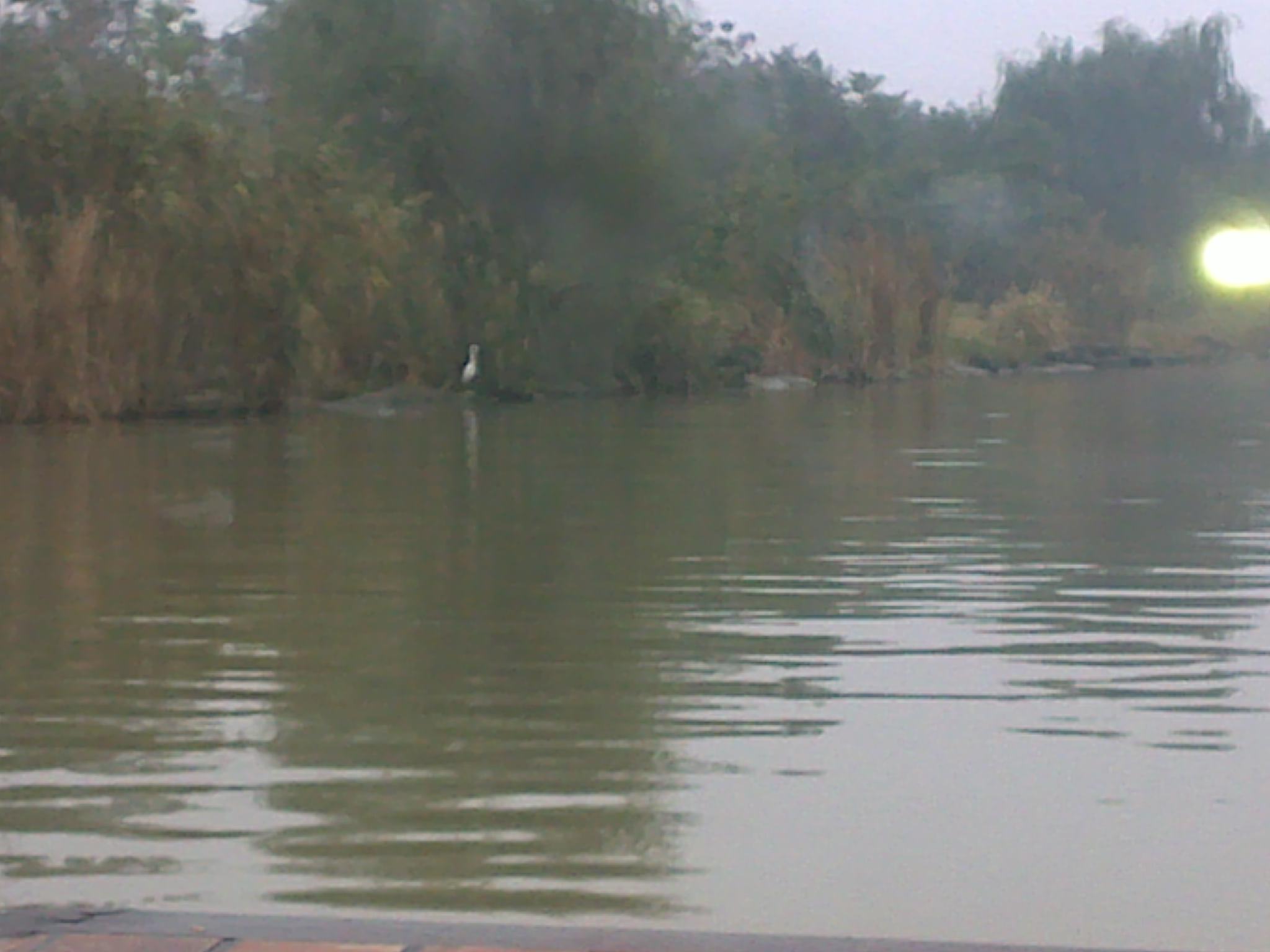 20101114166.jpg
