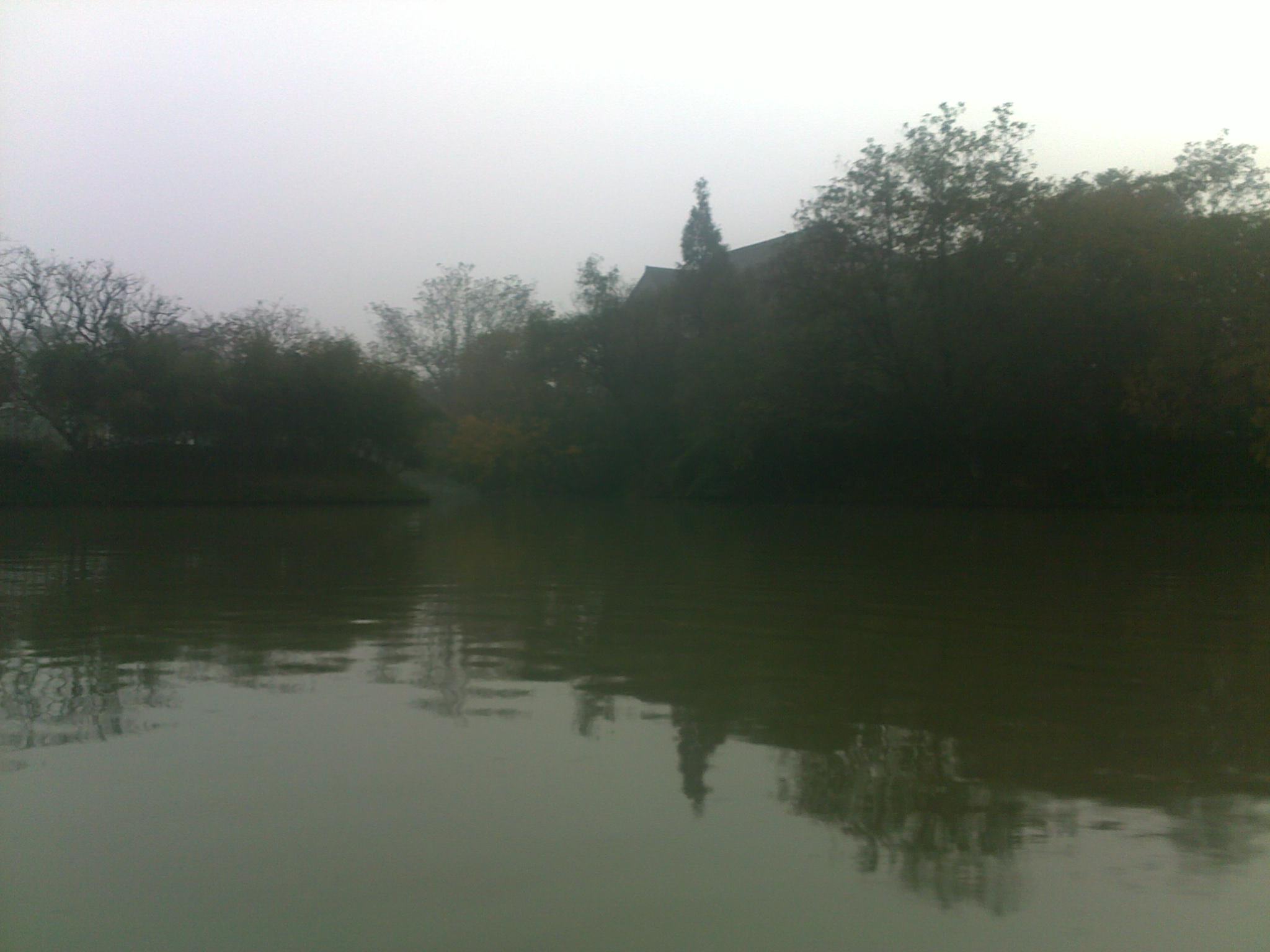 20101114168.jpg