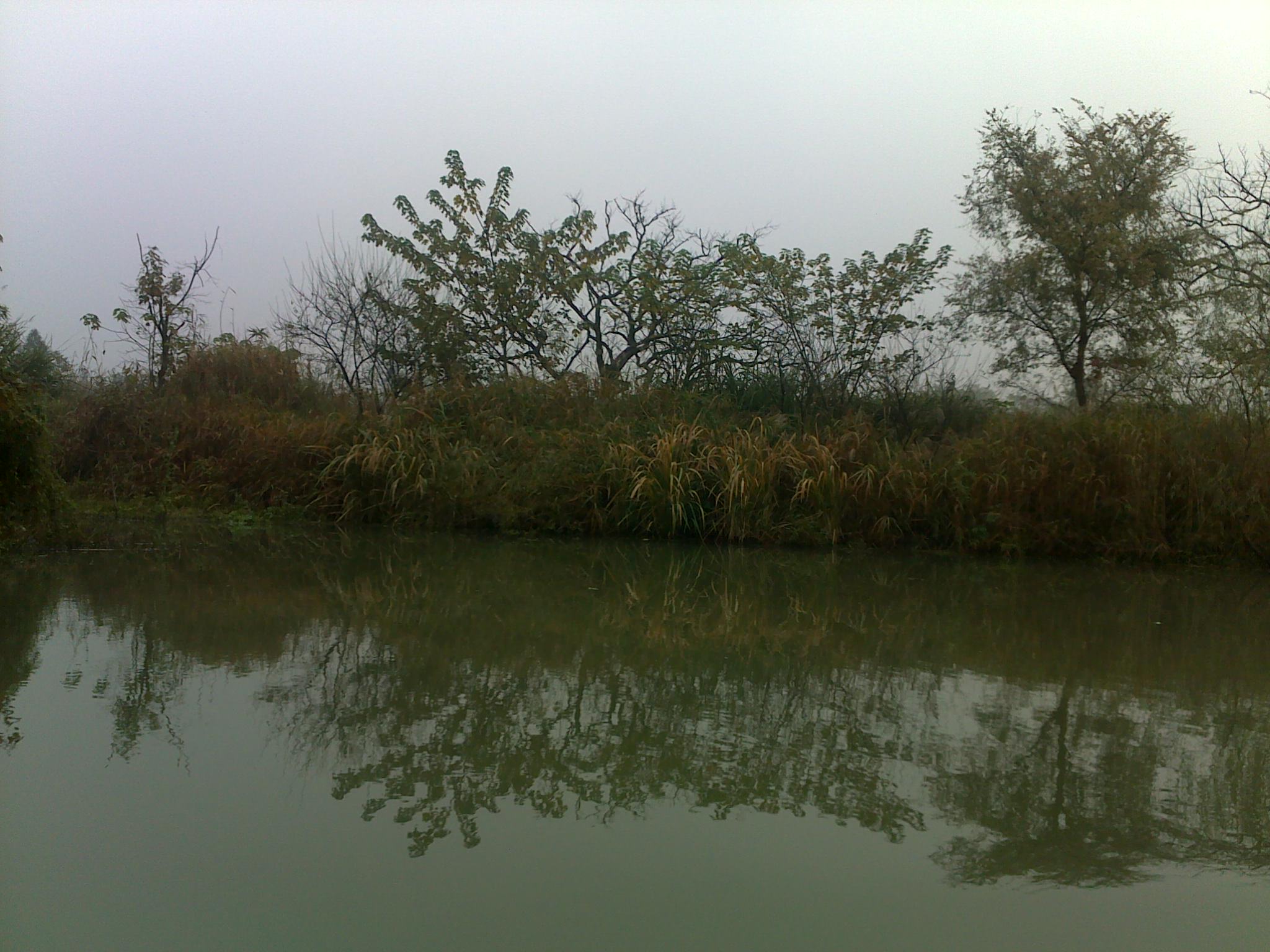 20101114157.jpg