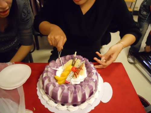 DSCN0862_conew1.jpg