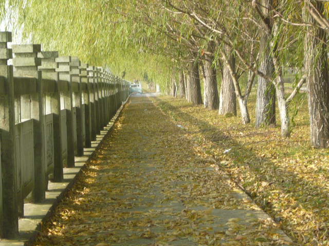 P1040815.JPG