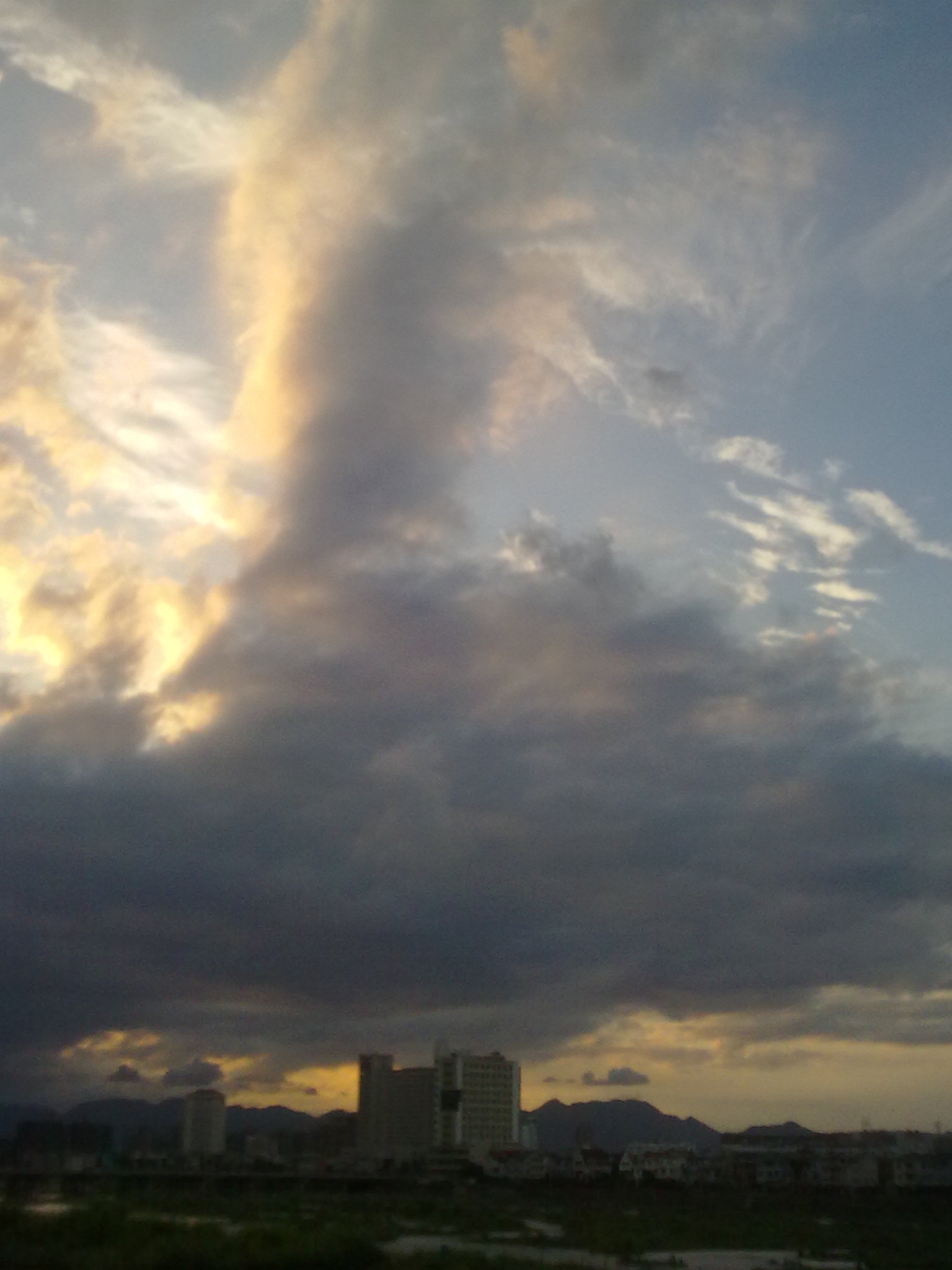 20100723.jpg