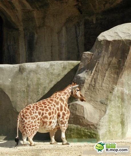 p_large_9P76_320400031d555c44.jpg