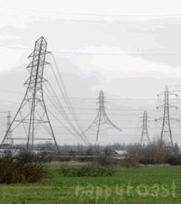 fe4ff471d98488278601b055.gif