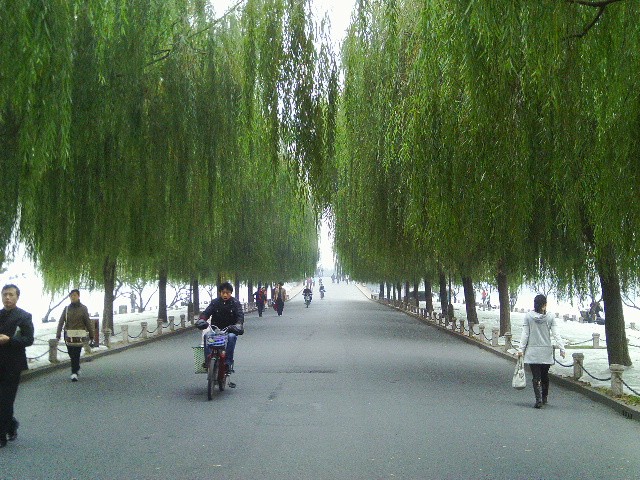 IMAG0331_副本.jpg