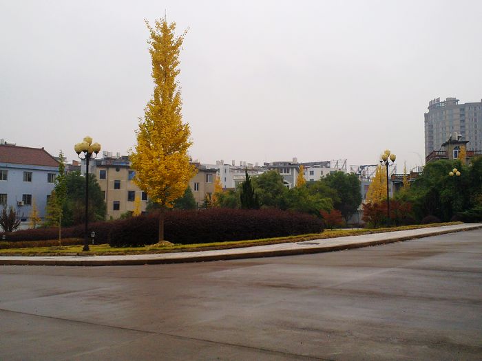 20101119907.jpg