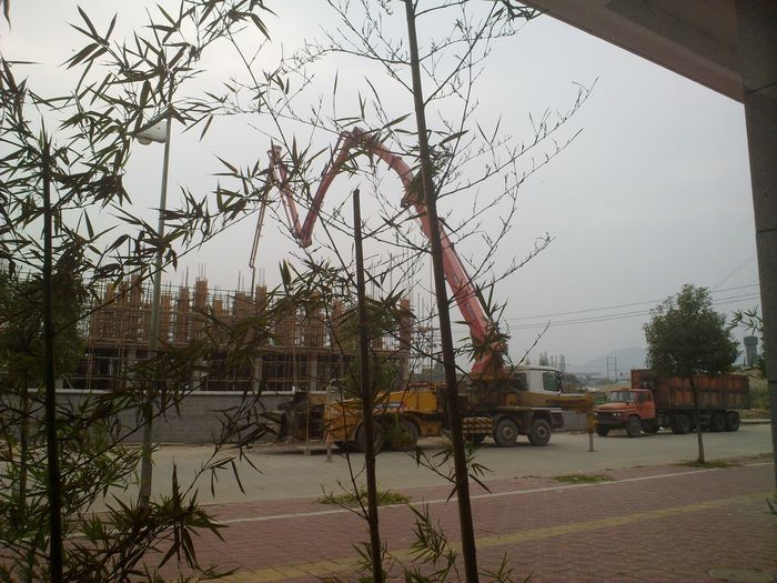 20101106891.jpg