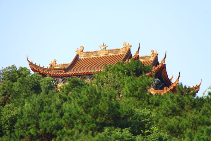 照片 312.jpg