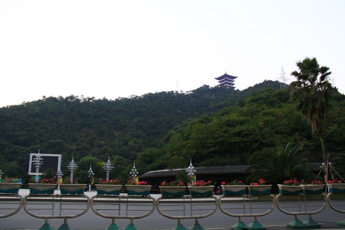照片 351.jpg