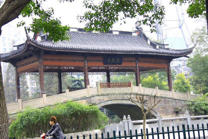 照片 455.jpg