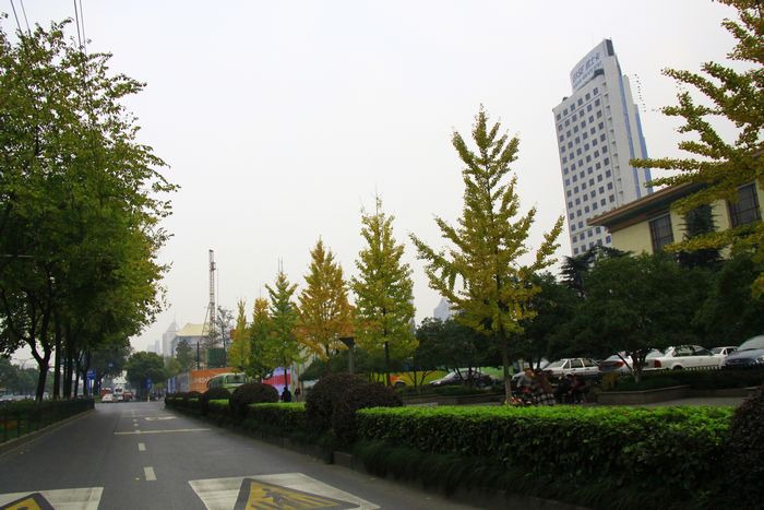 照片 451.jpg