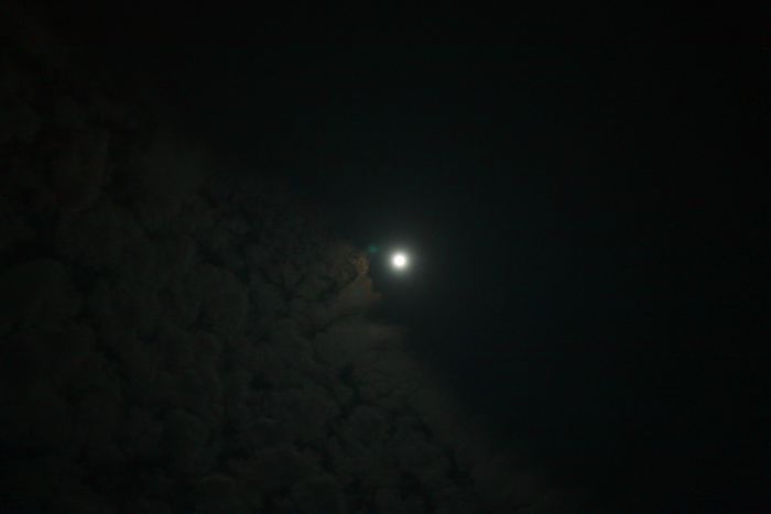 照片 609.jpg
