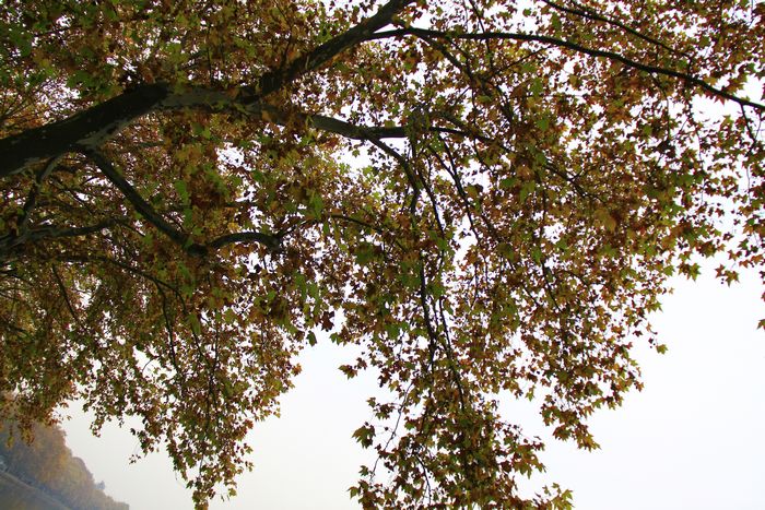 照片 652.jpg