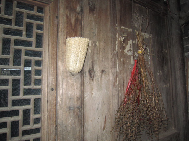IMG_1872.JPG