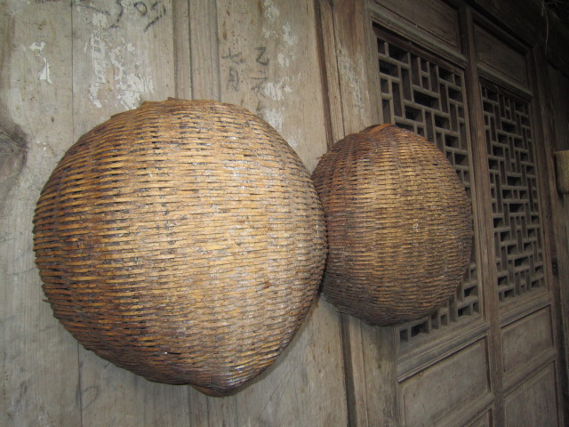 IMG_1871.JPG