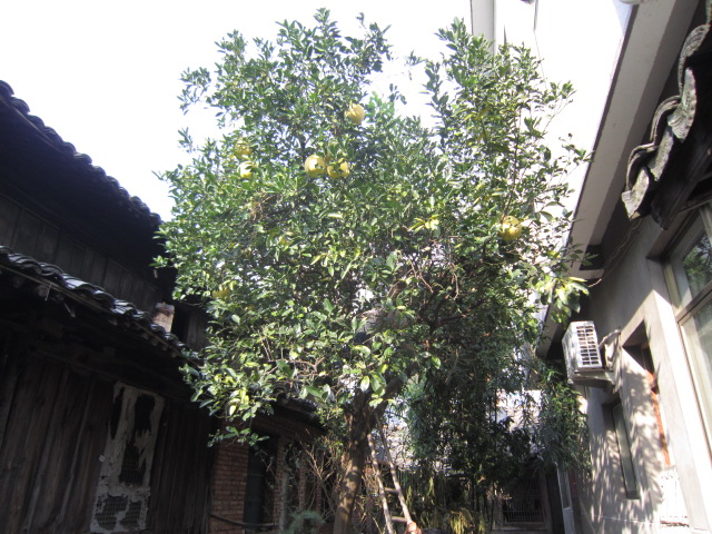 IMG_1865.JPG