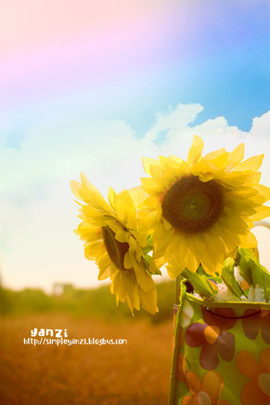 p_large_BUWY_77f00000ac572d13.jpg