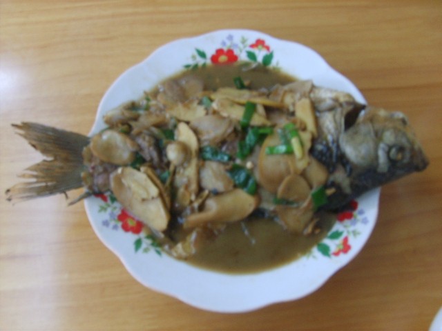 红烧鱼 .jpg