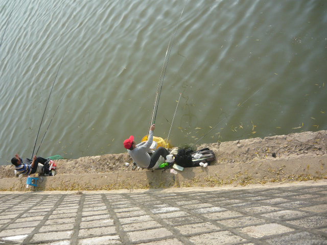 P1040810.JPG