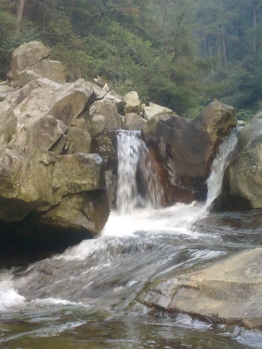20101029041_调整大小.jpg