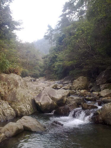 20101029024_调整大小.jpg