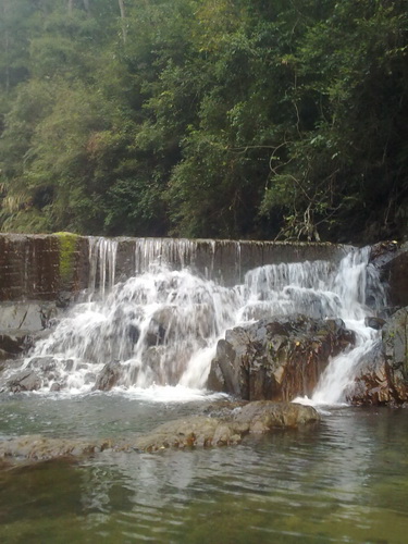 20101029050_调整大小.jpg