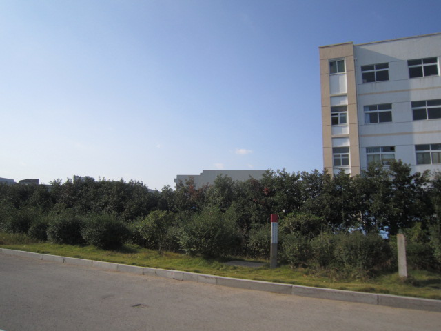 IMG_2439.JPG
