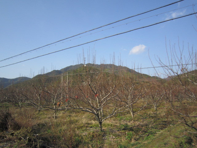 IMG_2455.JPG