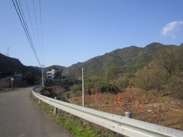 IMG_2458.JPG