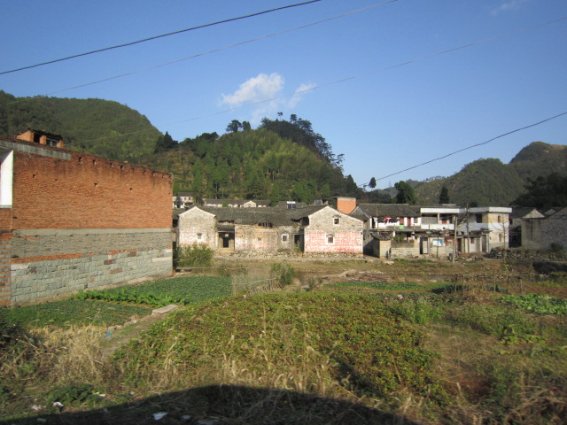 IMG_2478.JPG