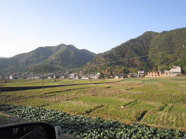 IMG_2481.JPG