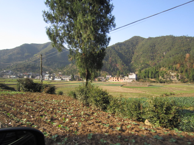 IMG_2480.JPG
