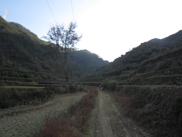 IMG_2513.JPG