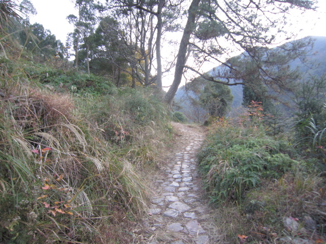 IMG_2525.JPG