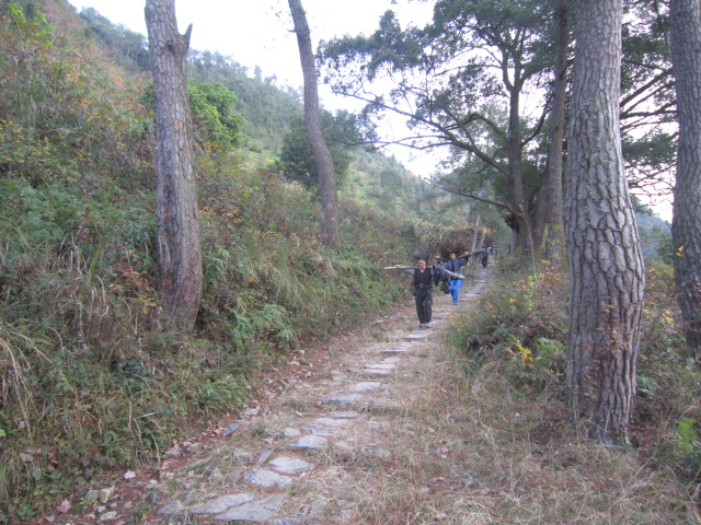 IMG_2550.JPG