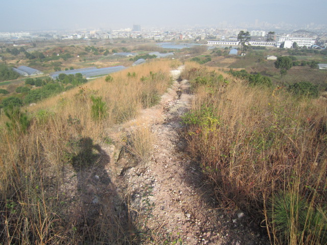 IMG_2874.JPG