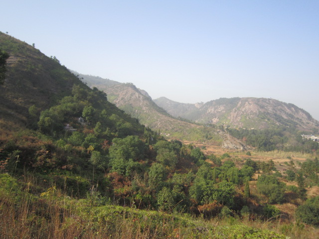IMG_2876.JPG