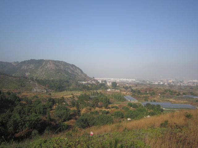 IMG_2877.JPG