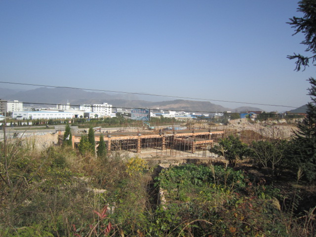 IMG_2899.JPG