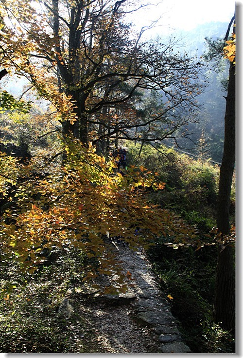 未命名-15.jpg