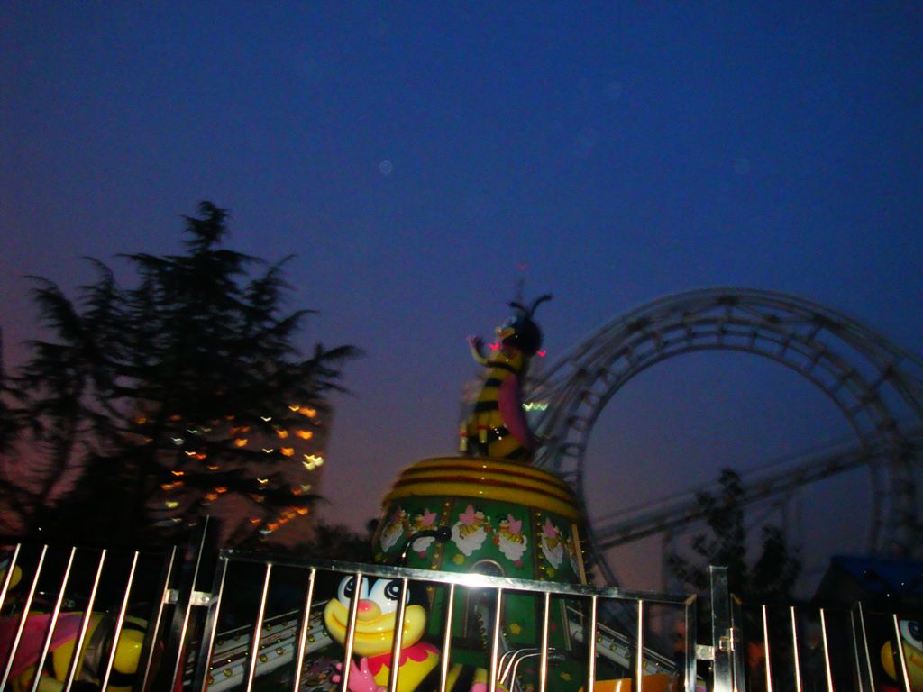 DSC02280.jpg