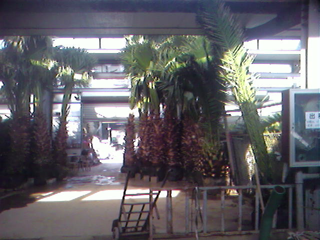 SPM_A1658.jpg