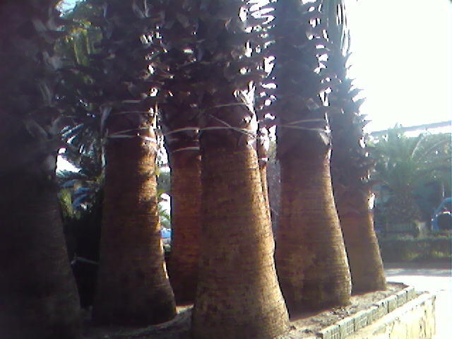 SPM_A1659.jpg