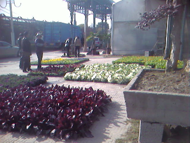 SPM_A1657.jpg