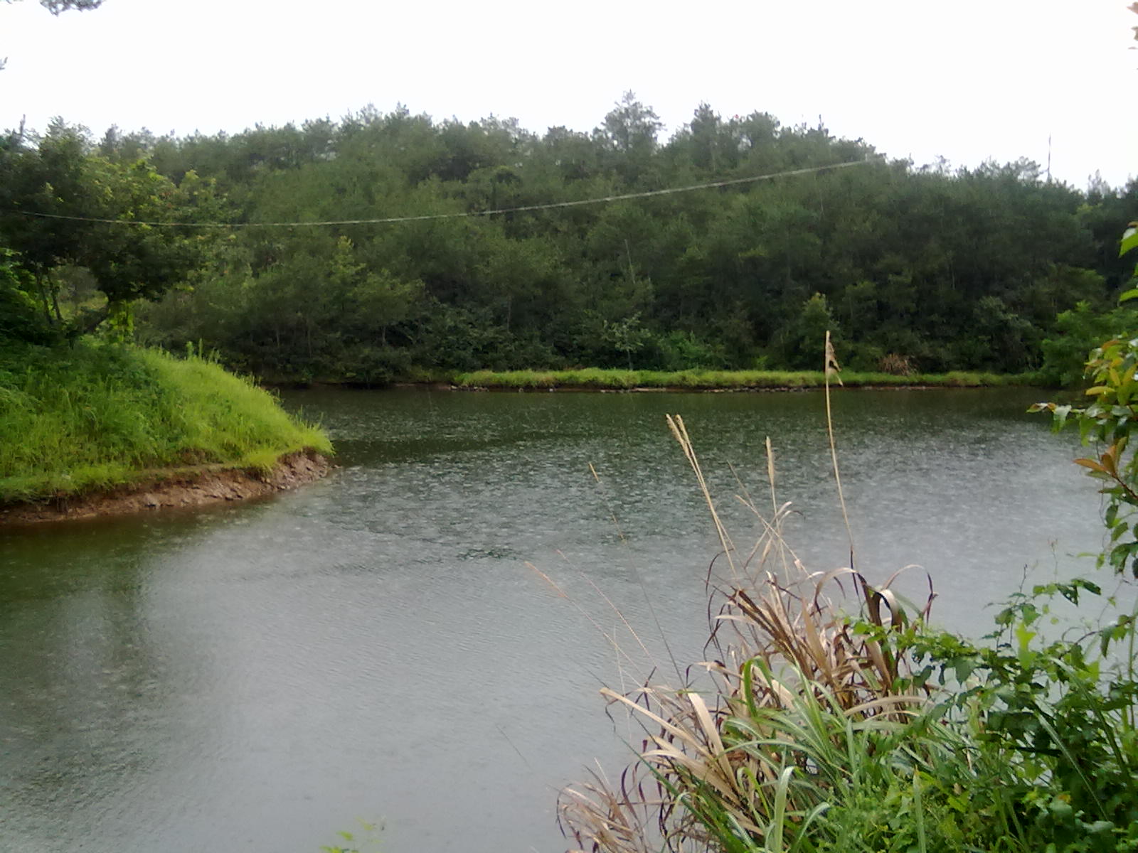 20100806068.jpg