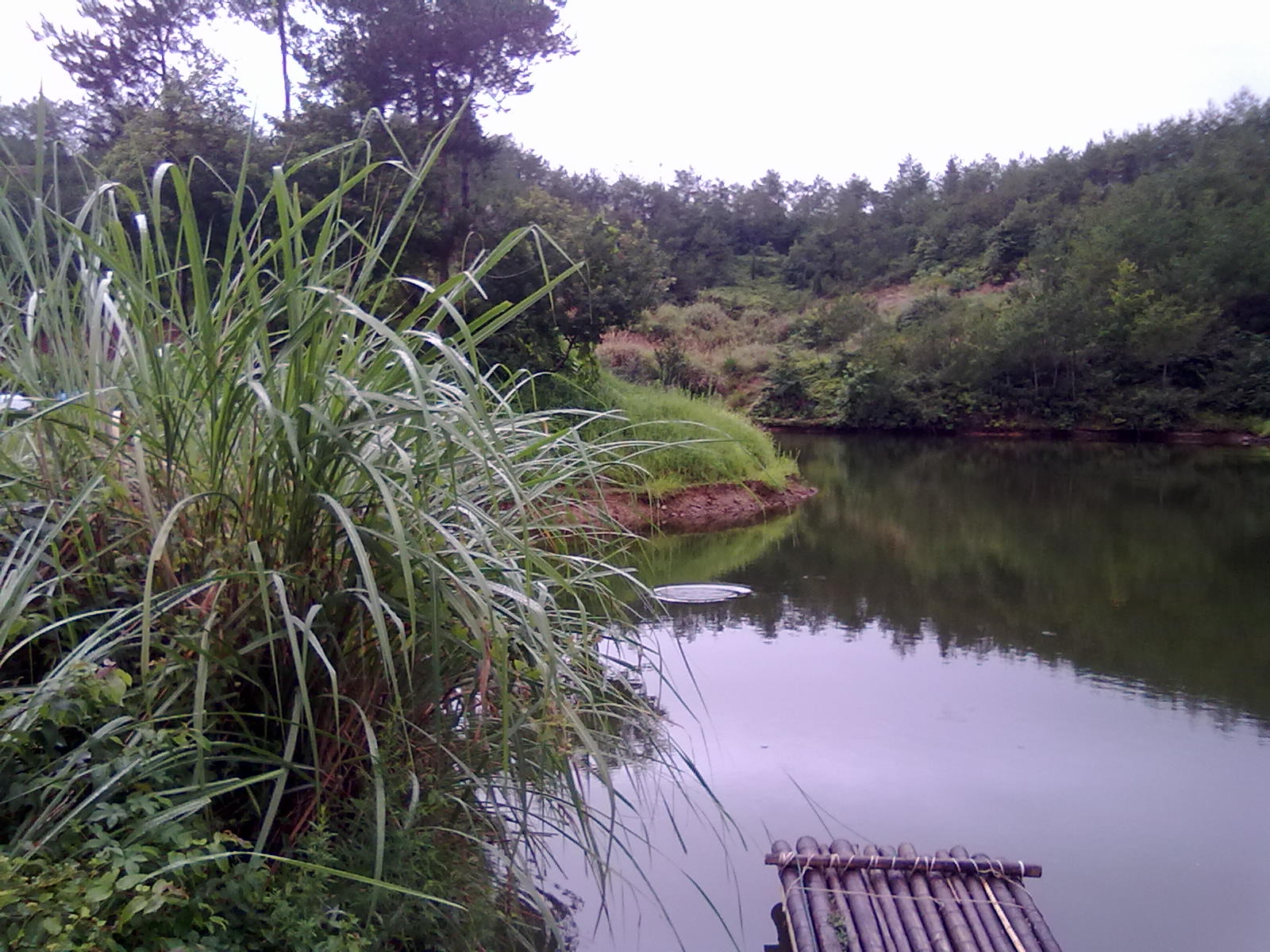 20100806079.jpg