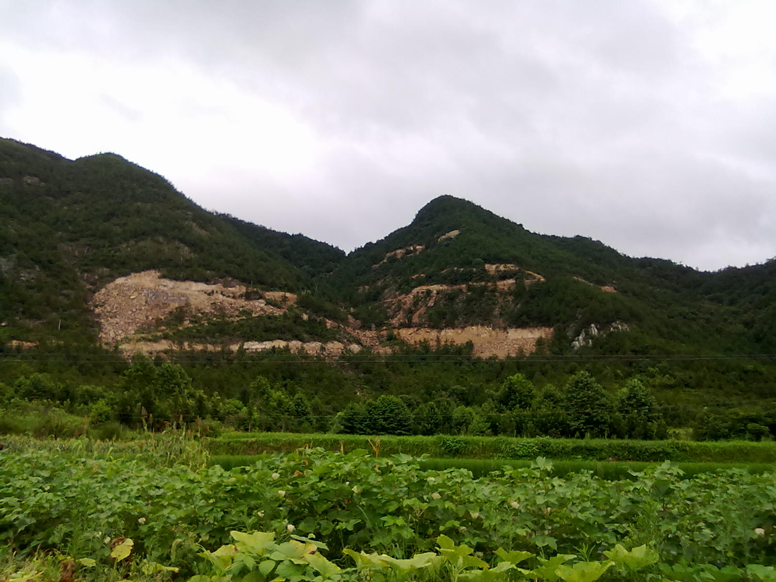 20100806083.jpg