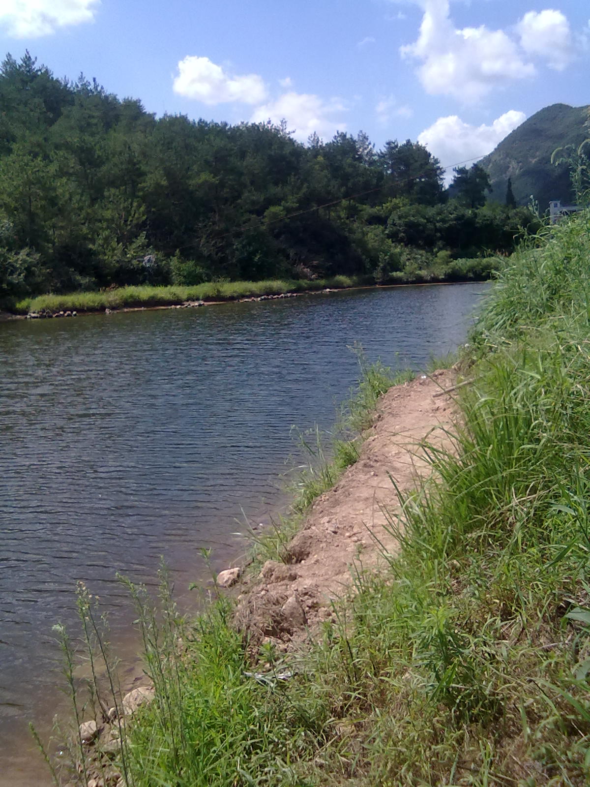 20100808136.jpg
